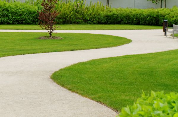 Walkway Repair in Albany