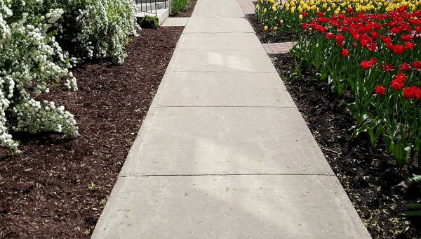 Concrete Pathway Repair in Albany