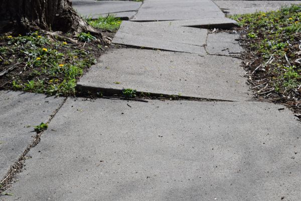 Trip Hazard Removal in Albany